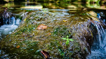 Haut Var petite rivière