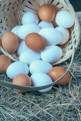 a lot of fresh chicken eggs in a straw basket on a background of hay. Healthy eating concept