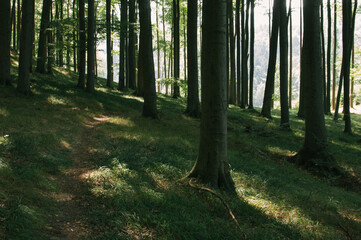 Obraz premium Gone bouldering, on the way to find hidden rock formations