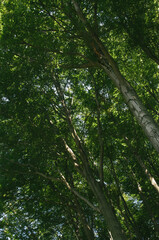 Gone bouldering, on the way to find hidden rock formations