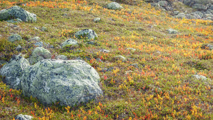 Stones on top of Vastervalen in the colors of summer, Sweden