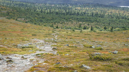 A stone mountain path from the top of the Vastervalen hill, Sweden