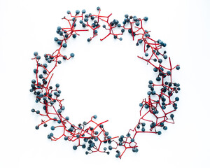 composition in the form of a wreath of Maiden grapes. close shot. Flat lay. Top view. Copy space. Special focus . 