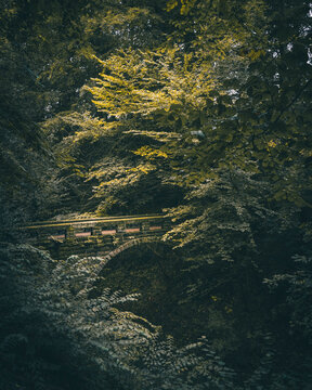 Chapel Bridge, Styal Mill
