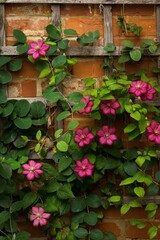 Pink flower background on brick wall 