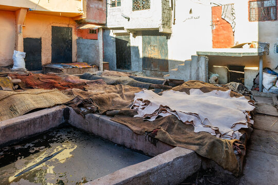Drying of camel's skin in Marrakesh, Morocco