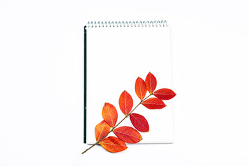 One branch with red leaves and note book on white background. Minimal autumn flat lay, top view background.
