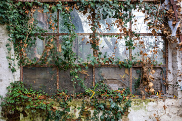 Hintergrund Fenster Schaufenster