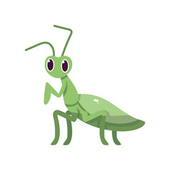 Isolated cartoon of a cricket - Vector illustration