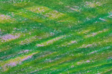 abstract colorful crayon background hand painting
