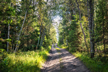 Fototapeta premium The road through the northern forest on Anzer Island (Solovetsky Islands)