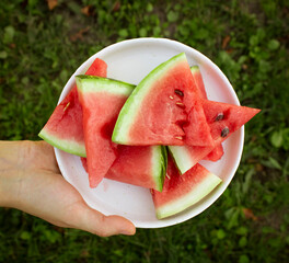 Top view: female hand holding a white plate with watermelon slices over the lawn in summer