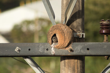 close up of an crane