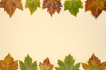 Creative autumn leaves background