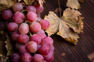 autumn grapes