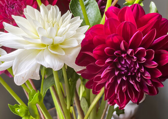 Closeup of a bouquet of red and white dahlias.