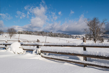 Alpine mountain snowy winter fir forest and snow drifts near wood fence on secondary countryside...