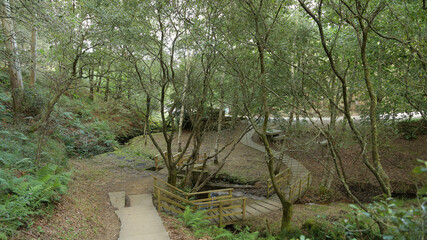 Castro de Borneiro, A Coruña