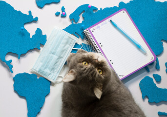 travel concept during a pandemic with animals, a cat on the blue cork map of world and a mask as personal protective equipment, flat lay on a neutral background with a copybook for a wish list