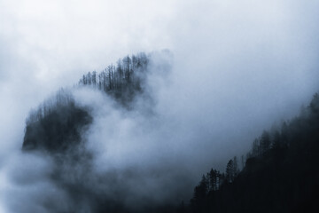 clouds in the fog