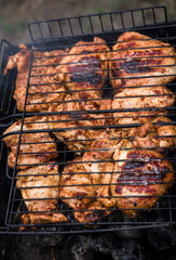 meat is grilled on a barbecue, summer barbecue, coocking meat