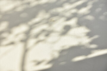 snow falling in the wind