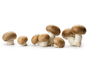 Champignon mushrooms isolated on white background. Vegetarian food ingredient. Fresh mushrooms from the forest.