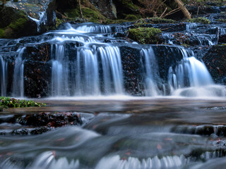 Fototapeta premium Wild brook with stones and waterfall in Jeseniky mountains, Eastern Europe, Moravia. Clean fresh cold watter, water stream. Long exposure image. .