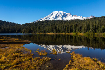 Fototapeta na wymiar Reflection lake and Mt.Rainier in fall season. Mt.Rainier National park, Washington