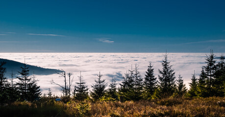 View from mountain range to the valley above fog and clouds, high altitude landscape,sun,blue sky,clouds, spruce trees, sunlight,daylight. Jeseniky mountains,Czech Republic.  .