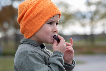 Beautiful little boy eating a plum outside