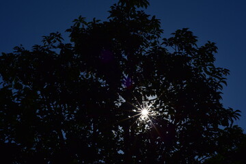 sol