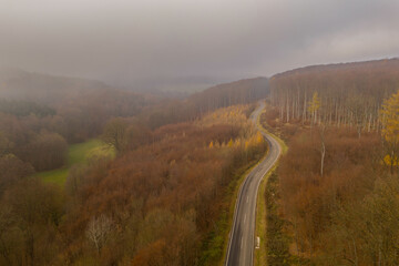 Beautiful panoramic shot of a road along a forest