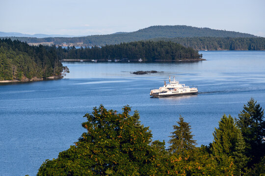 VICTORIA, CANADA - Aug 12, 2019: BC_Ferries_0000000007