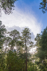 Paseo de fin de semana en la montaña Iztaccihuatl en Puebla, Mexico