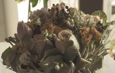 Dried Flowers with muted pastel colors