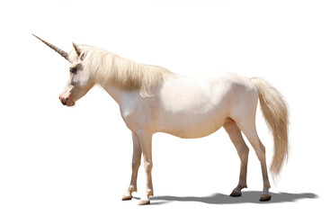 Obraz na płótnie Canvas Amazing unicorn with beautiful mane on white background