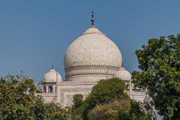 Fototapeta na wymiar Dome of Taj Mahal in Agra, India