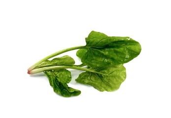 Fresh green spinach isolated on white background. Green spinach leaves. Green food. 