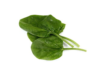 Fresh green spinach isolated on white background. Green spinach leaves. Green food. 