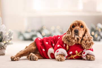 Adorable Cocker Spaniel in Christmas sweater on blurred background