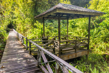 Boardwalk in Niah national park on Borneo island, Malaysia