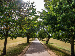 alley in the park