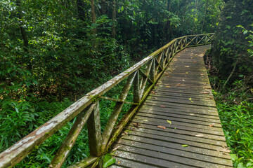 Obraz premium Boardwalk in Niah national park on Borneo island, Malaysia