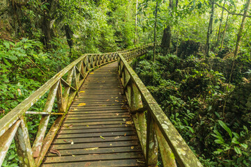 Boardwalk in Niah national park on Borneo island, Malaysia