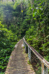 Boardwalk in Niah national park on Borneo island, Malaysia
