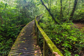 Boardwalk in Niah national park on Borneo island, Malaysia