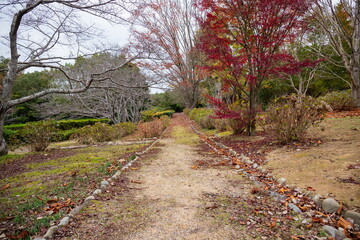 Path in autumn , Takamatsu city, kagawa, shikoku, japan
