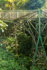 Canopy observation bridge in Rainforest Discovery Centre in Sepilok, Sabah, Malaysia