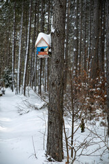 Vertical image of a snow house covered with snow on a tree by the road in the forest area of Zlatibor, Serbia.